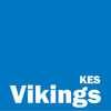 Vikings Logo SCREEN USE